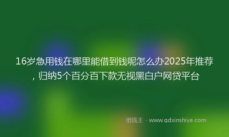 16岁急用钱在哪里能借到钱呢怎么办2025年推荐，归纳5个百分百下款无视黑白户网贷平台