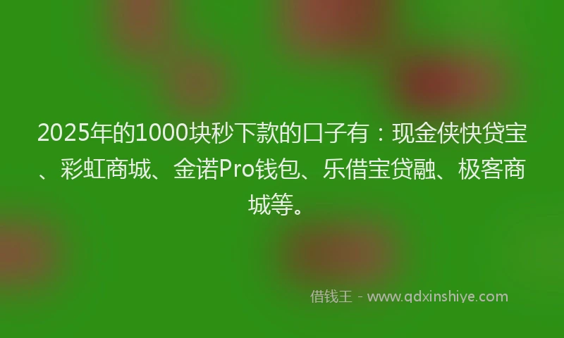 2025年的1000块秒下款的口子有：现金侠快贷宝、彩虹商城、金诺Pro钱包、乐借宝贷融、极客商城等。