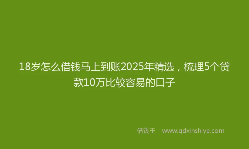 18岁怎么借钱马上到账2025年精选，梳理5个贷款10万比较容易的口子