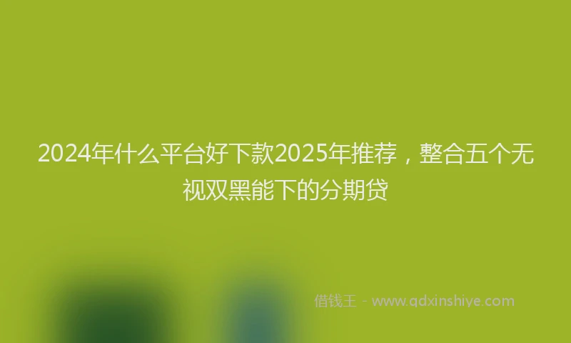 2024年什么平台好下款2025年推荐，整合五个无视双黑能下的分期贷
