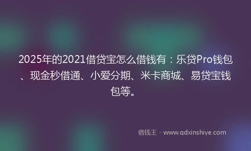 2025年的2021借贷宝怎么借钱有：乐贷Pro钱包、现金秒借通、小爱分期、米卡商城、易贷宝钱包等。