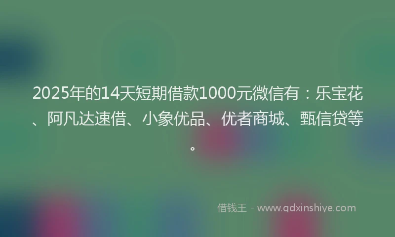 2025年的14天短期借款1000元微信有：乐宝花、阿凡达速借、小象优品、优者商城、甄信贷等。