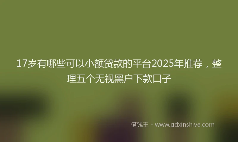 17岁有哪些可以小额贷款的平台2025年推荐，整理五个无视黑户下款口子