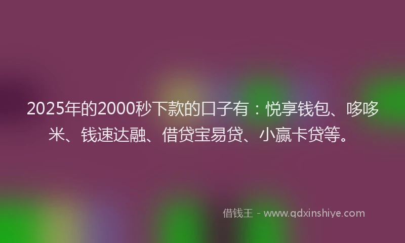 2025年的2000秒下款的口子有：悦享钱包、哆哆米、钱速达融、借贷宝易贷、小赢卡贷等。