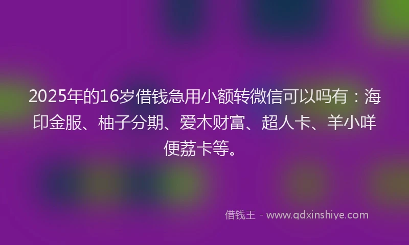 2025年的16岁借钱急用小额转微信可以吗有：海印金服、柚子分期、爱木财富、超人卡、羊小咩便荔卡等。