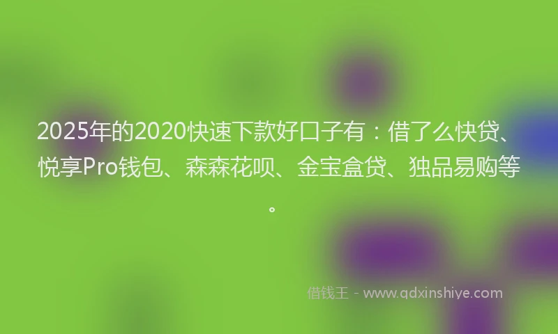 2025年的2020快速下款好口子有：借了么快贷、悦享Pro钱包、森森花呗、金宝盒贷、独品易购等。