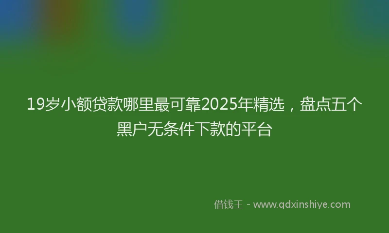 19岁小额贷款哪里最可靠2025年精选，盘点五个黑户无条件下款的平台