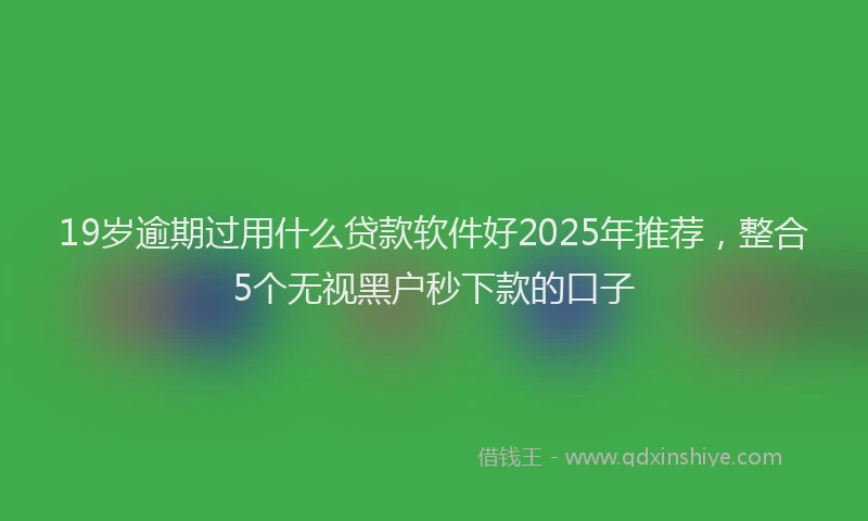 19岁逾期过用什么贷款软件好2025年推荐，整合5个无视黑户秒下款的口子