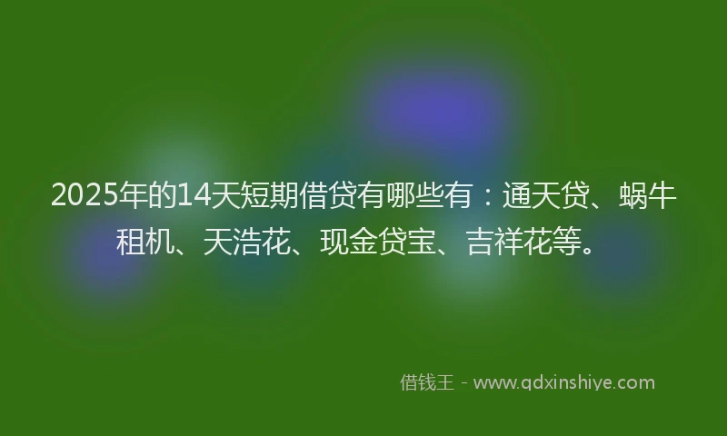 2025年的14天短期借贷有哪些有：通天贷、蜗牛租机、天浩花、现金贷宝、吉祥花等。