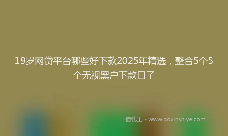 19岁网贷平台哪些好下款2025年精选，整合5个5个无视黑户下款口子