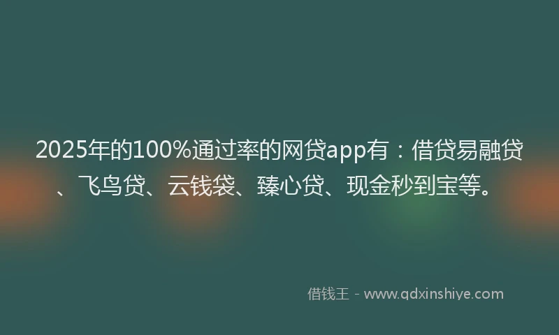 2025年的100%通过率的网贷app有：借贷易融贷、飞鸟贷、云钱袋、臻心贷、现金秒到宝等。