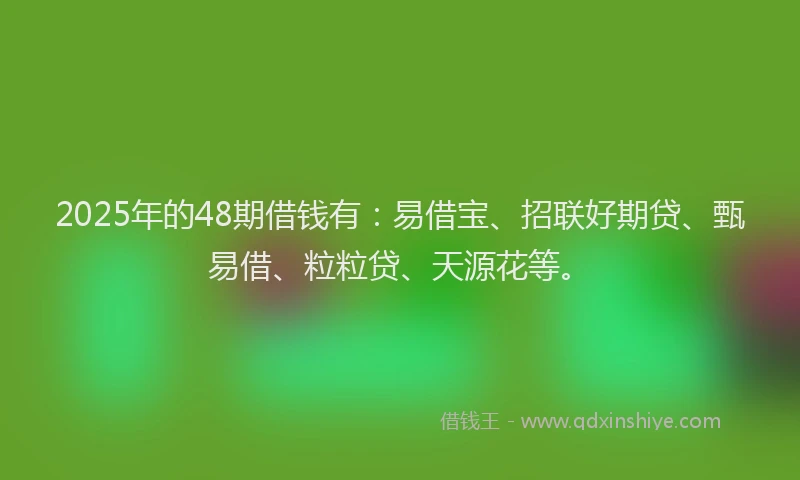 2025年的48期借钱有：易借宝、招联好期贷、甄易借、粒粒贷、天源花等。