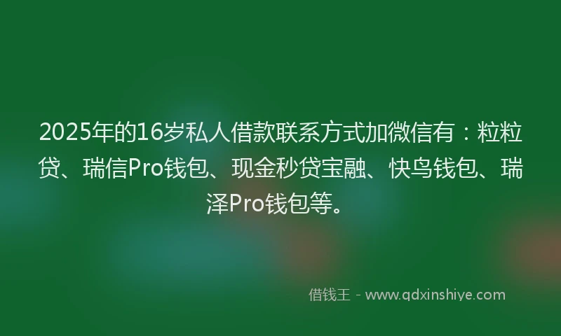 2025年的16岁私人借款联系方式加微信有：粒粒贷、瑞信Pro钱包、现金秒贷宝融、快鸟钱包、瑞泽Pro钱包等。