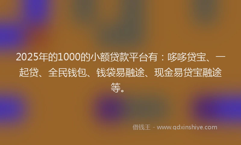 2025年的1000的小额贷款平台有：哆哆贷宝、一起贷、全民钱包、钱袋易融途、现金易贷宝融途等。