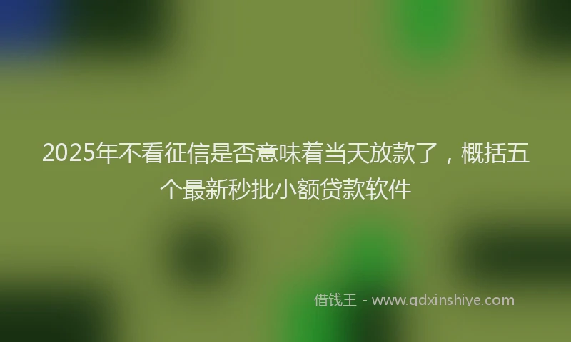 2025年不看征信是否意味着当天放款了，概括五个最新秒批小额贷款软件