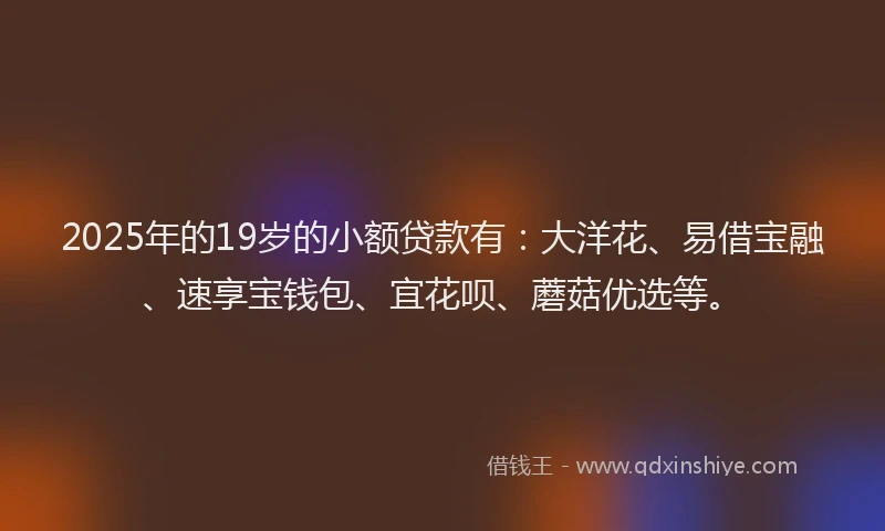 2025年的19岁的小额贷款有：大洋花、易借宝融、速享宝钱包、宜花呗、蘑菇优选等。