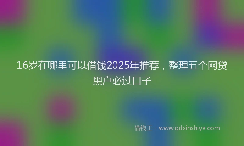 16岁在哪里可以借钱2025年推荐，整理五个网贷黑户必过口子