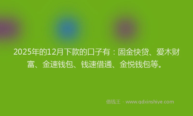 2025年的12月下款的口子有：固金快贷、爱木财富、金速钱包、钱速借通、金悦钱包等。