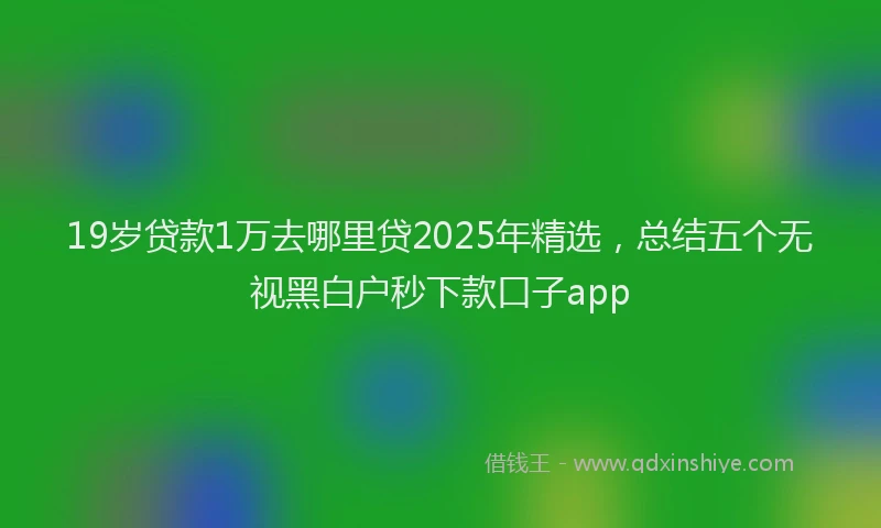 19岁贷款1万去哪里贷2025年精选，总结五个无视黑白户秒下款口子app