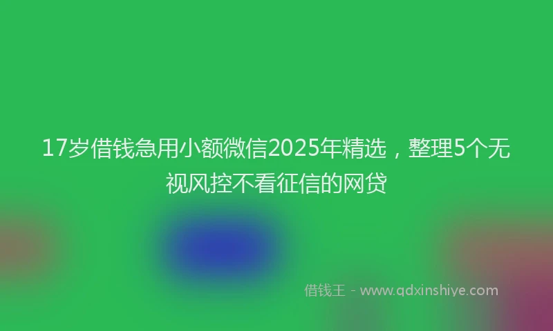 17岁借钱急用小额微信2025年精选，整理5个无视风控不看征信的网贷
