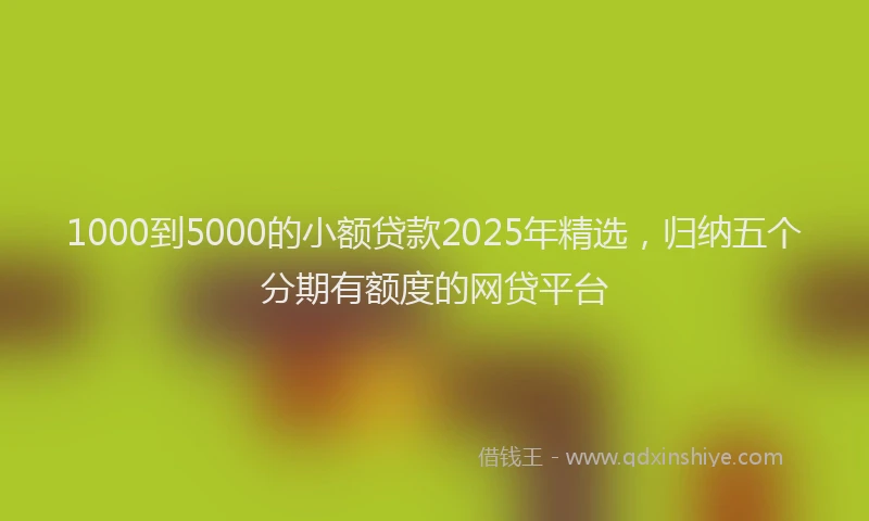 1000到5000的小额贷款2025年精选，归纳五个分期有额度的网贷平台