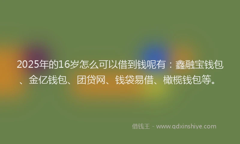 2025年的16岁怎么可以借到钱呢有：鑫融宝钱包、金亿钱包、团贷网、钱袋易借、橄榄钱包等。