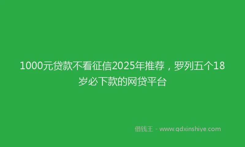 1000元贷款不看征信2025年推荐，罗列五个18岁必下款的网贷平台