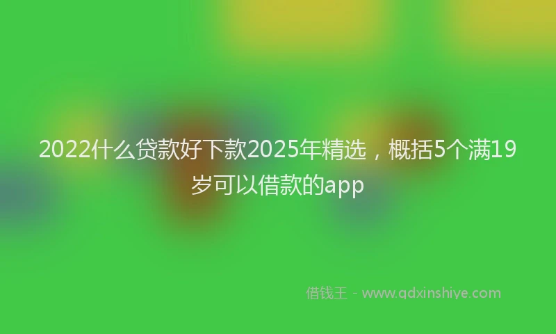 2022什么贷款好下款2025年精选，概括5个满19岁可以借款的app