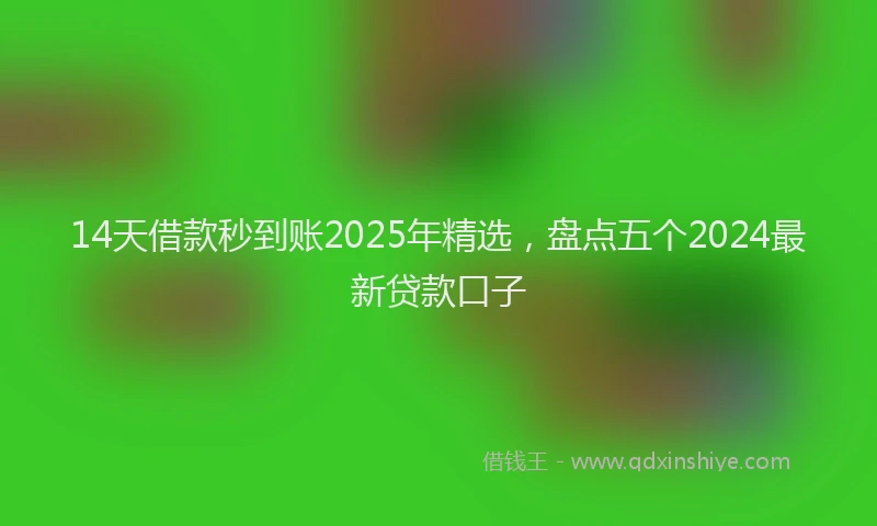 14天借款秒到账2025年精选，盘点五个2024最新贷款口子