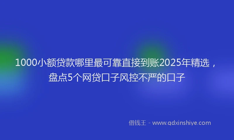 1000小额贷款哪里最可靠直接到账2025年精选，盘点5个网贷口子风控不严的口子