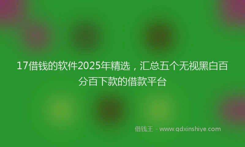 17借钱的软件2025年精选，汇总五个无视黑白百分百下款的借款平台