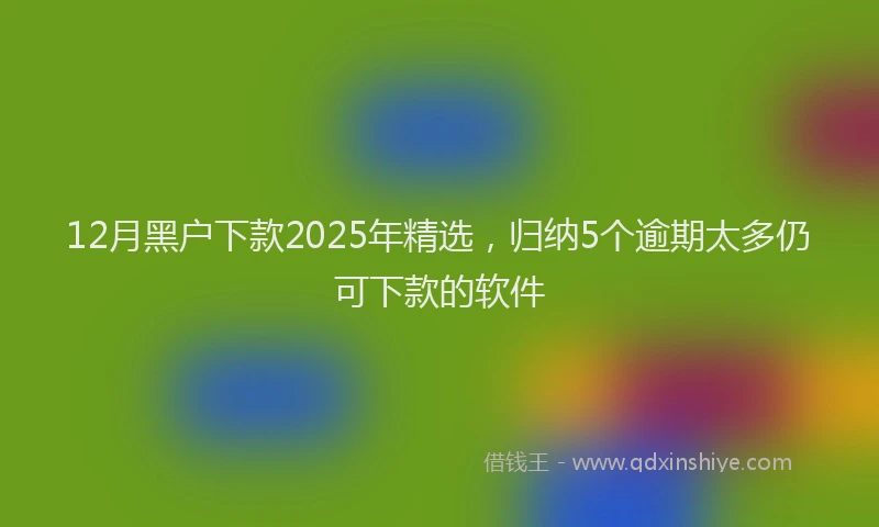 12月黑户下款2025年精选，归纳5个逾期太多仍可下款的软件