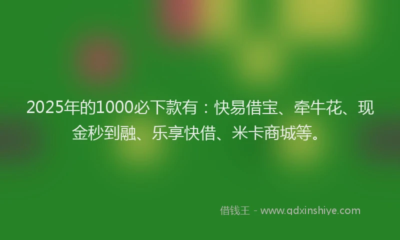 2025年的1000必下款有：快易借宝、牵牛花、现金秒到融、乐享快借、米卡商城等。