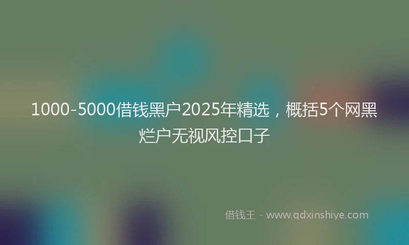 1000-5000借钱黑户2025年精选，概括5个网黑烂户无视风控口子