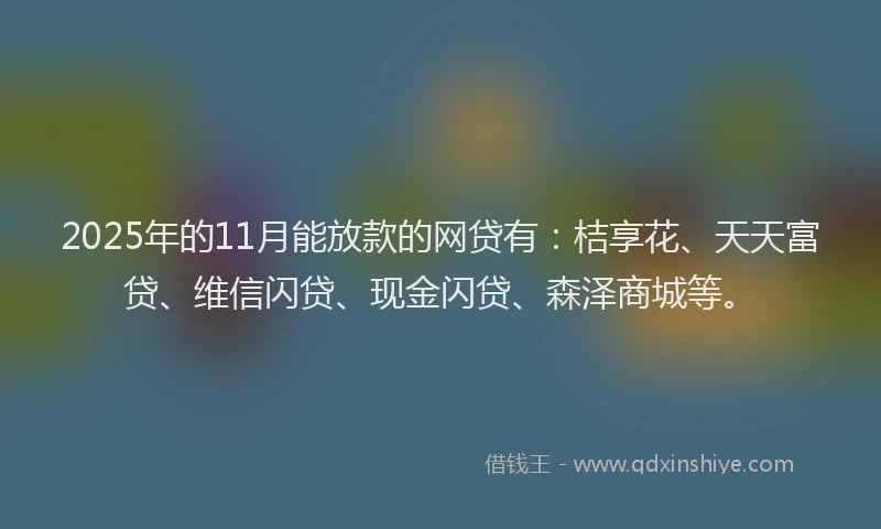2025年的11月能放款的网贷有：桔享花、天天富贷、维信闪贷、现金闪贷、森泽商城等。