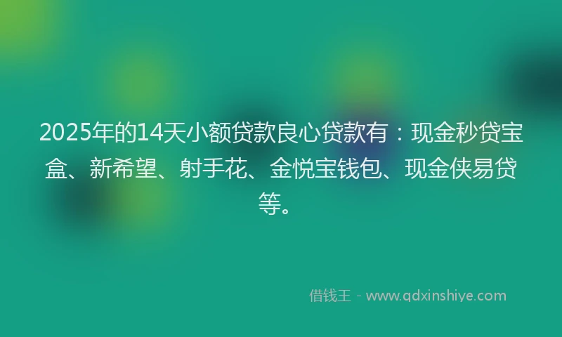 2025年的14天小额贷款良心贷款有：现金秒贷宝盒、新希望、射手花、金悦宝钱包、现金侠易贷等。