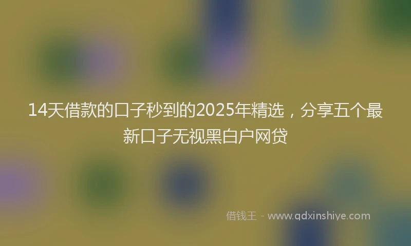14天借款的口子秒到的2025年精选，分享五个最新口子无视黑白户网贷