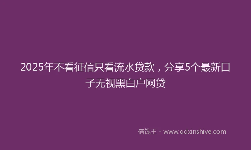 2025年不看征信只看流水贷款，分享5个最新口子无视黑白户网贷