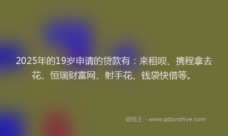2025年的19岁申请的贷款有：来租呗、携程拿去花、恒瑞财富网、射手花、钱袋快借等。