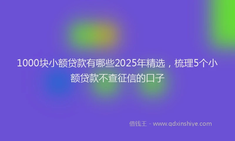 1000块小额贷款有哪些2025年精选，梳理5个小额贷款不查征信的口子