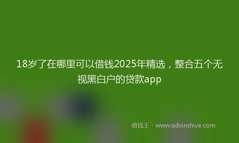 18岁了在哪里可以借钱2025年精选，整合五个无视黑白户的贷款app