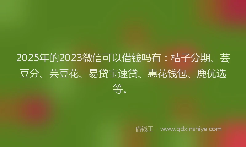 2025年的2023微信可以借钱吗有：桔子分期、芸豆分、芸豆花、易贷宝速贷、惠花钱包、鹿优选等。