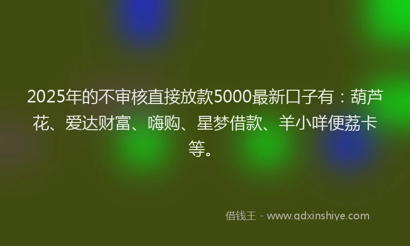 2025年的不审核直接放款5000最新口子有：葫芦花、爱达财富、嗨购、星梦借款、羊小咩便荔卡等。