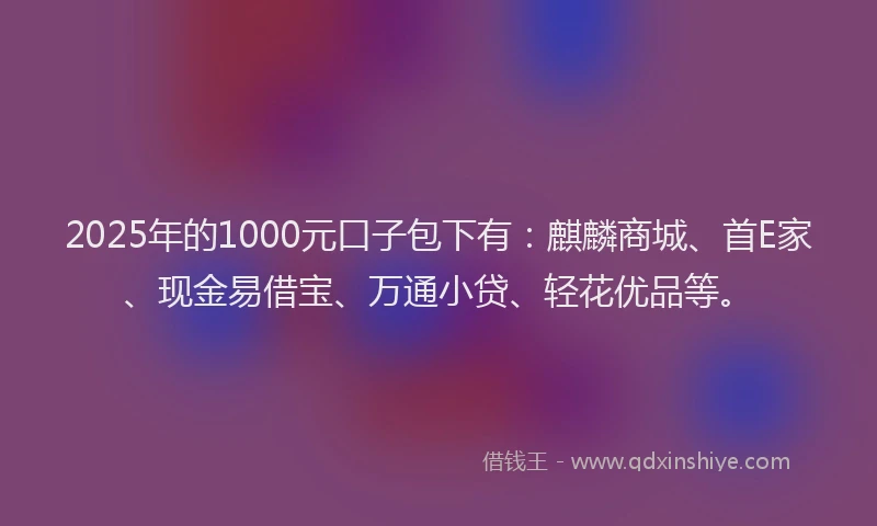 2025年的1000元口子包下有：麒麟商城、首E家、现金易借宝、万通小贷、轻花优品等。