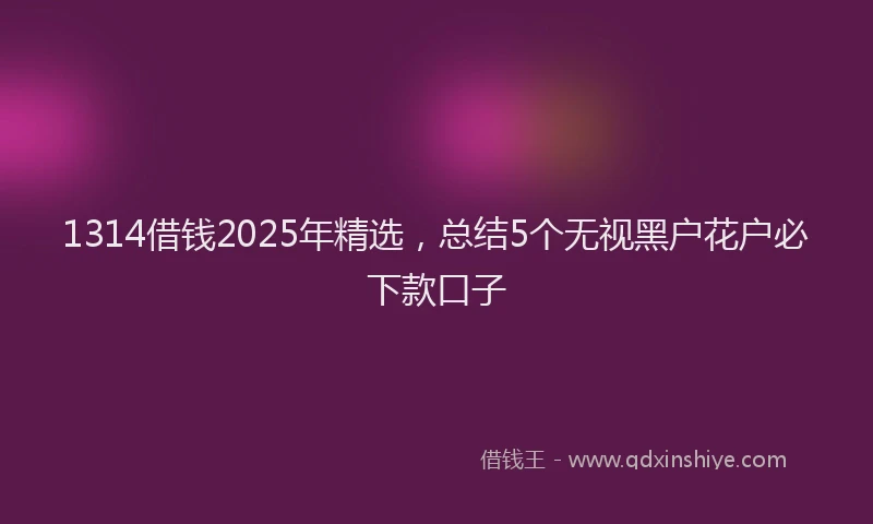 1314借钱2025年精选，总结5个无视黑户花户必下款口子