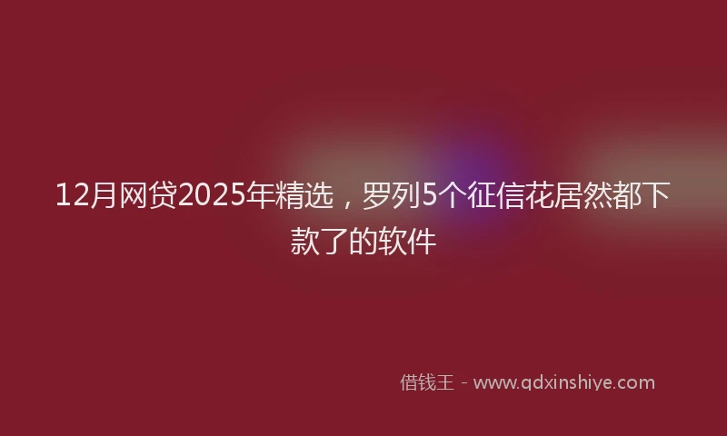 12月网贷2025年精选，罗列5个征信花居然都下款了的软件