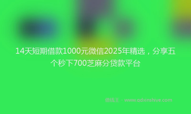 14天短期借款1000元微信2025年精选，分享五个秒下700芝麻分贷款平台