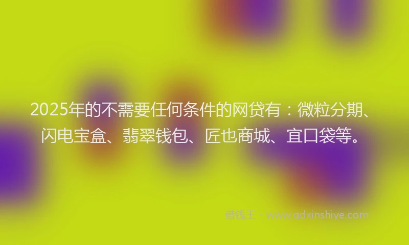 2025年的不需要任何条件的网贷有：微粒分期、闪电宝盒、翡翠钱包、匠也商城、宜口袋等。