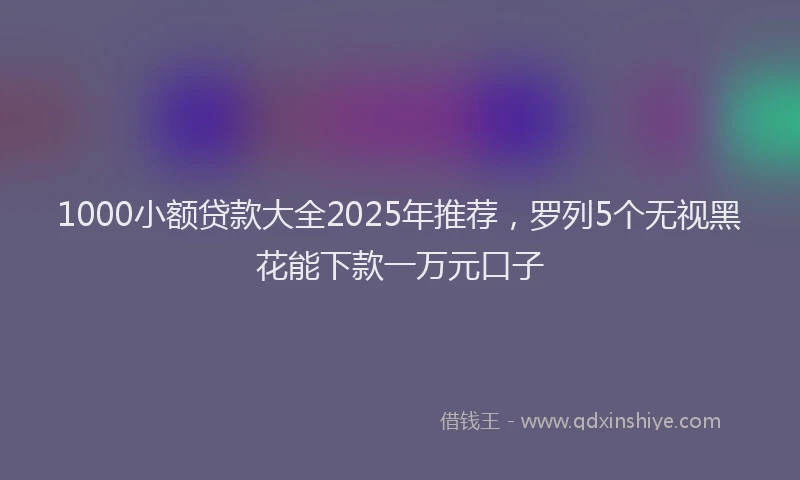 1000小额贷款大全2025年推荐，罗列5个无视黑花能下款一万元口子