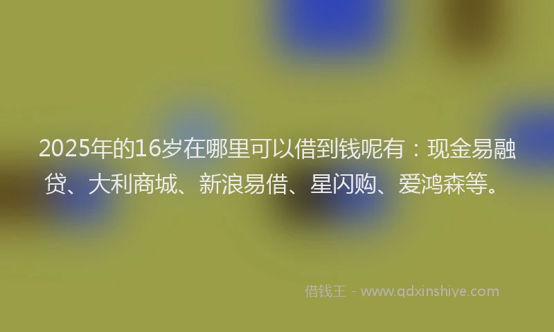 2025年的16岁在哪里可以借到钱呢有：现金易融贷、大利商城、新浪易借、星闪购、爱鸿森等。